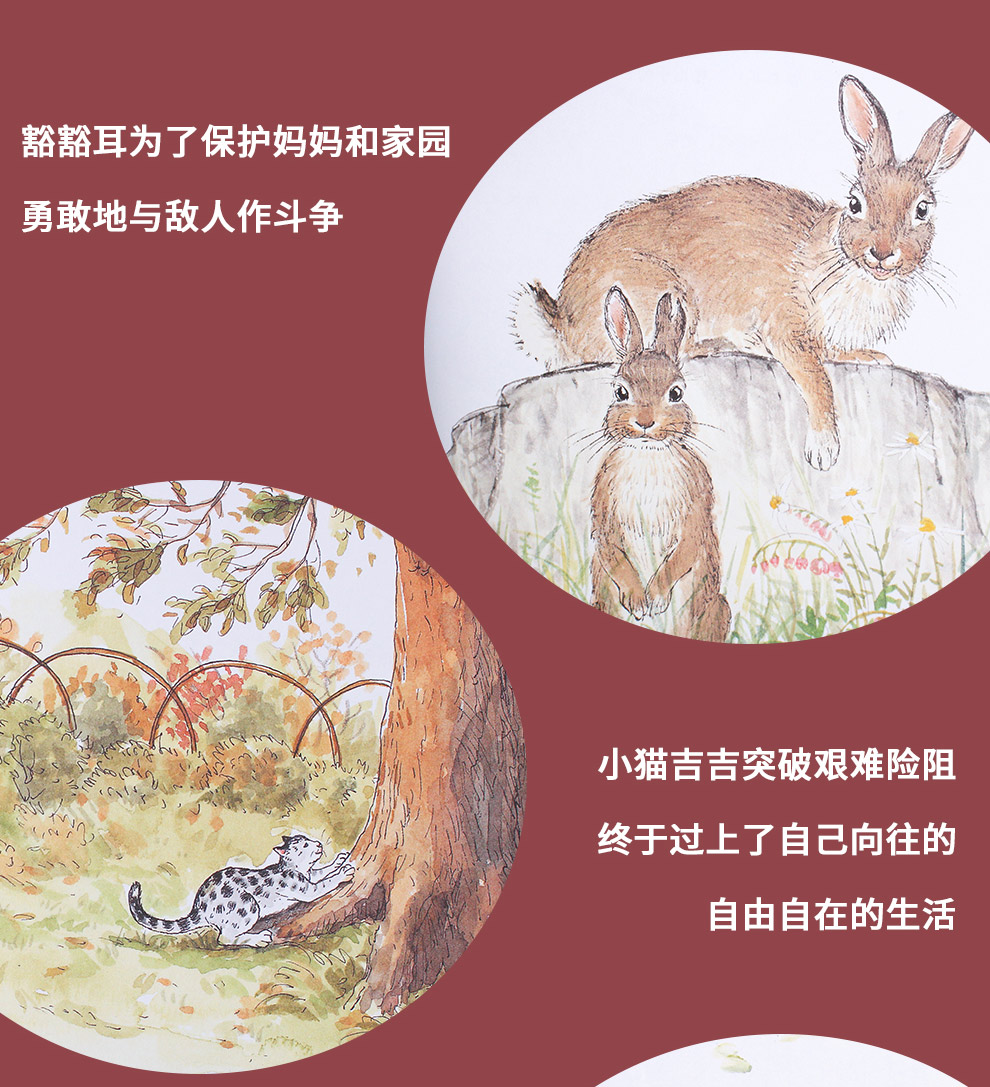 西顿动物记_05.jpg