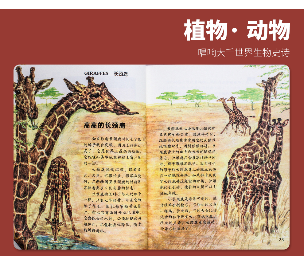 大英儿童百科全书-990_10.jpg