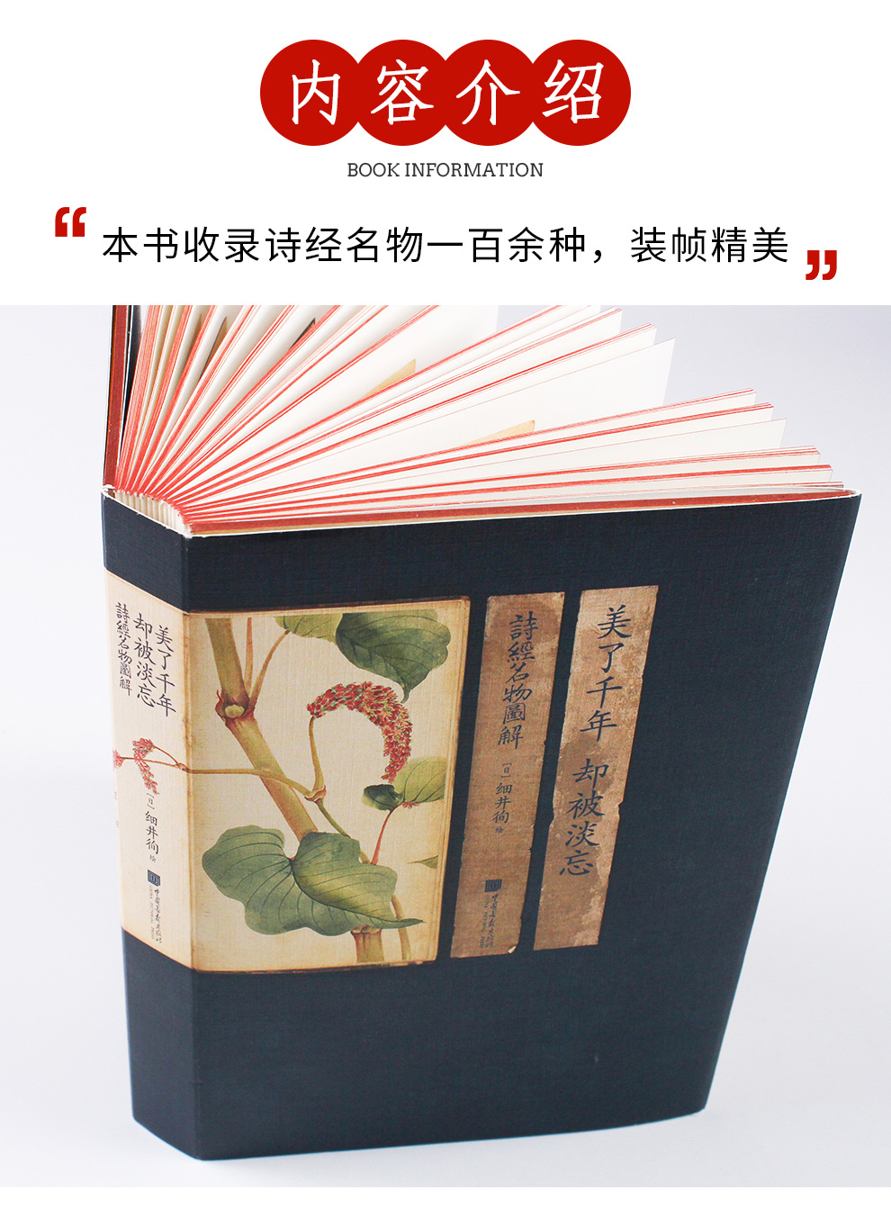 诗经名物图解_05.jpg