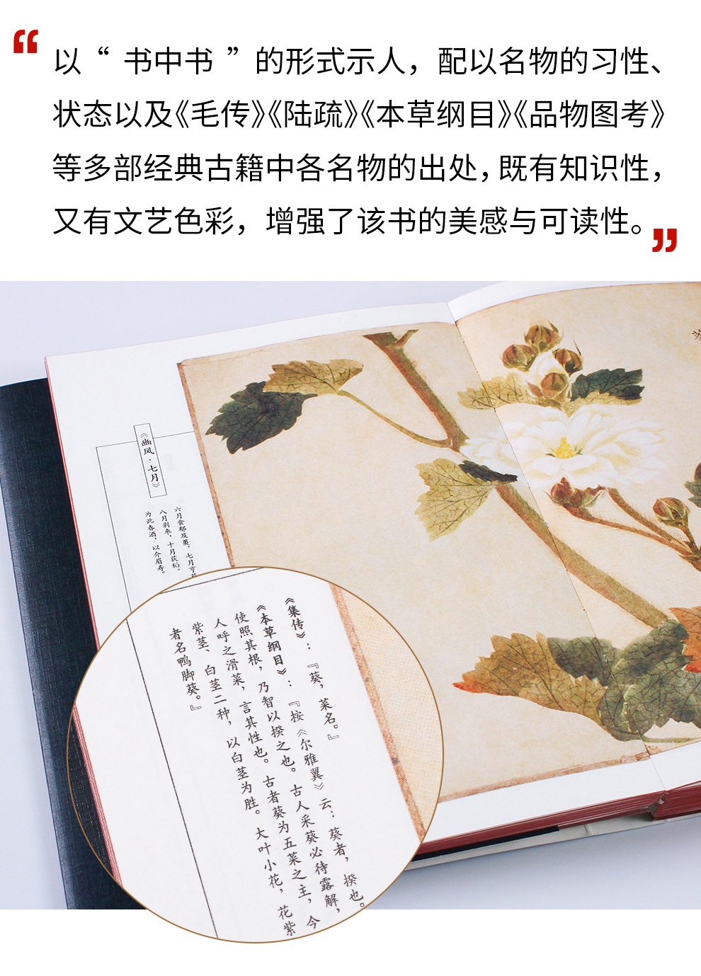 诗经名物图解_07.jpg