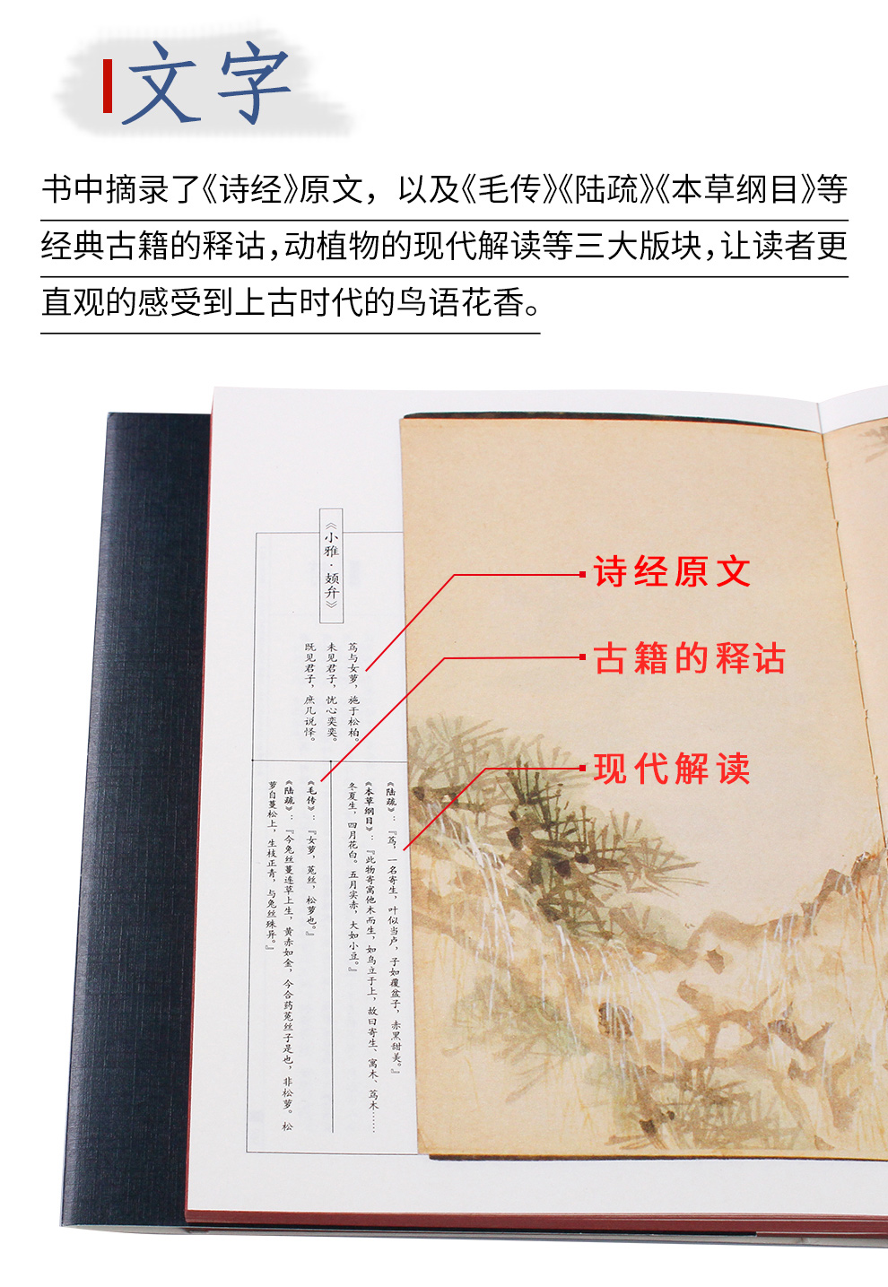 诗经名物图解_12.jpg