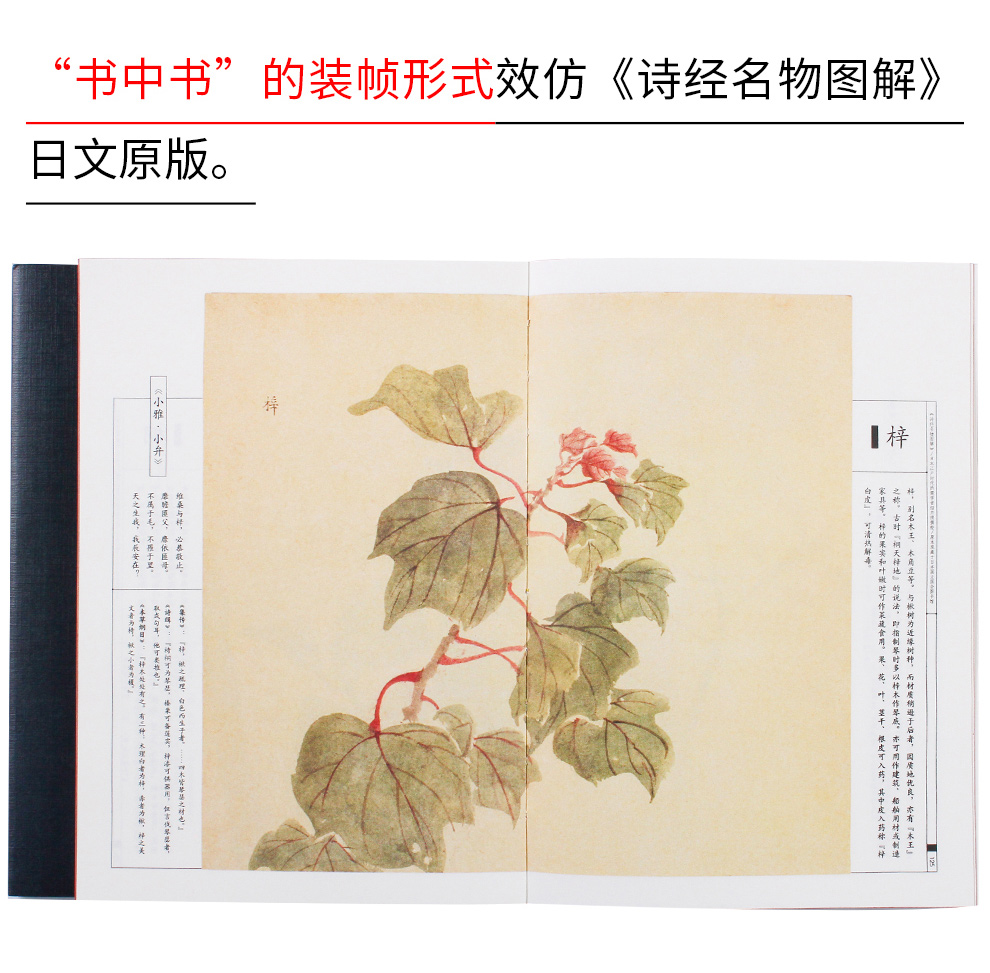诗经名物图解_15.jpg